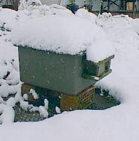 Hummelkasten im Schnee